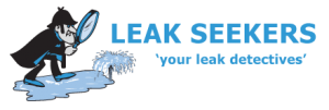 logo Vancouver swimming pool leak hot tub detection